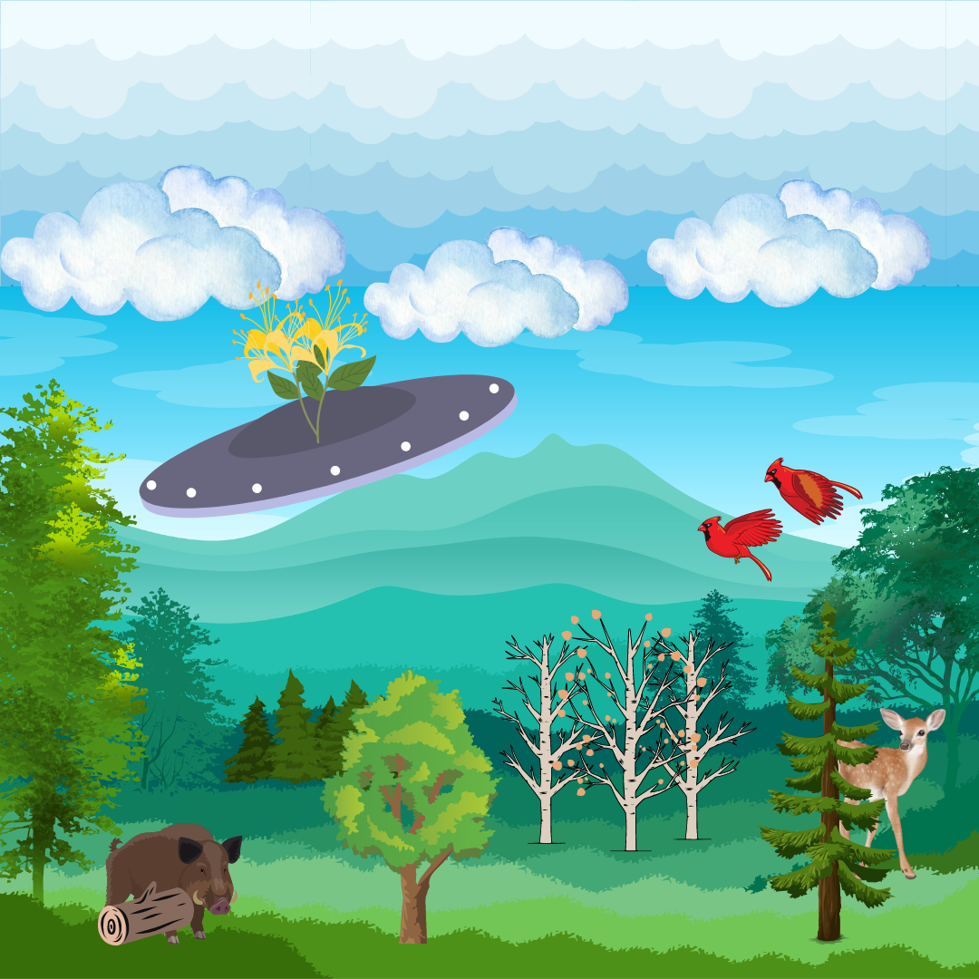 This graphic depicts an ecosystem that has invasive species, also known as alien species, arriving and occupying areas. In Ohio, invasive species like the Amur Honeysuckle and Feral Swine are invading the natural ecosystem. Made with Canva.
