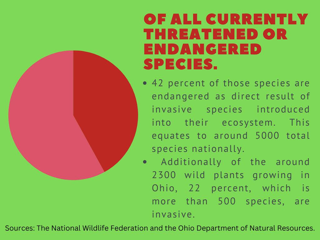 Invasive Species Affect Ohio’s Ecosystem – The Odyssey