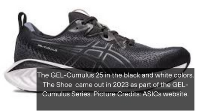 GEL-Cumulus 25: Is the Shoe Right for You?