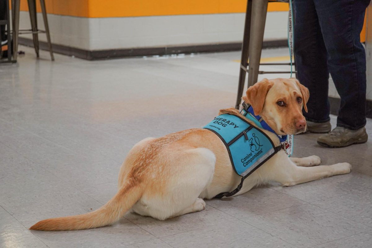 Kamila laying in the halls of north 