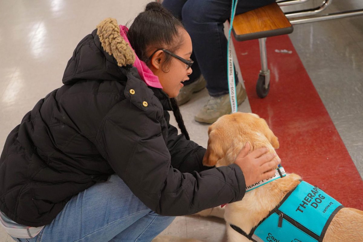 Student petting service dog Kamila