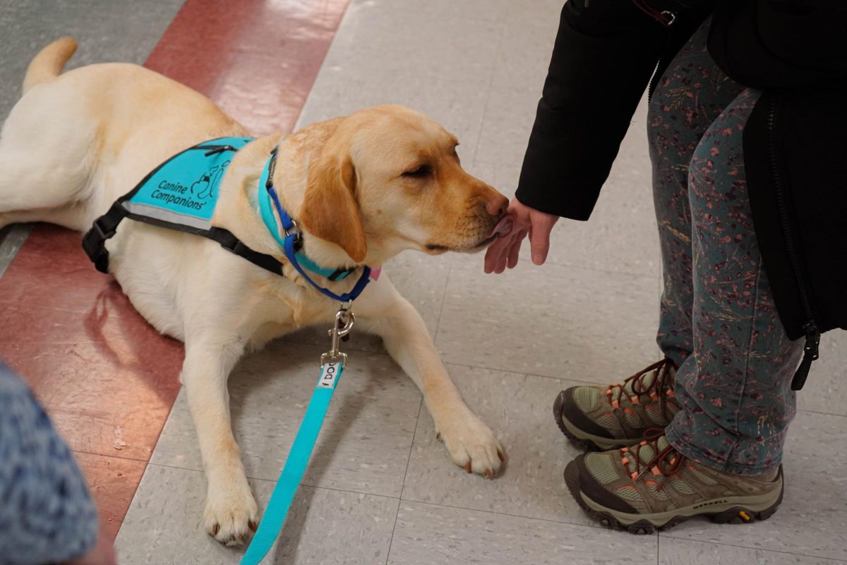 Service Dog Kamila Licking a students hand